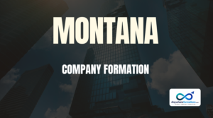Montana company formation services